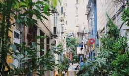 桂庙新村爆料案件最新进展,疑点重重，警方深入调查中